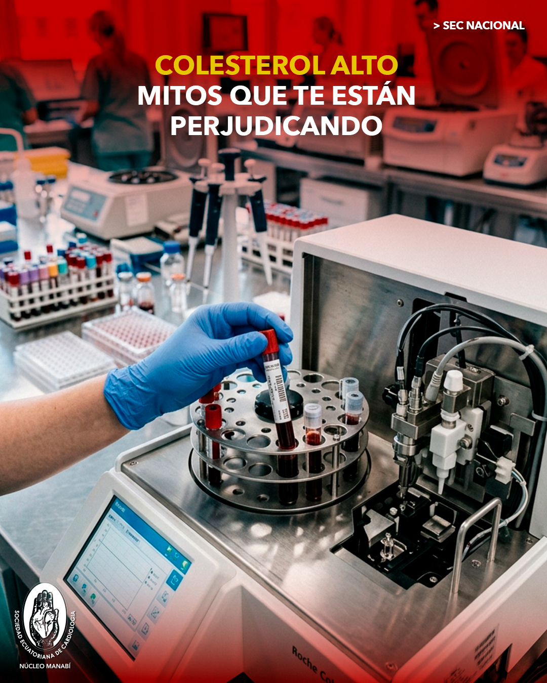 mitos sobre colesterol alto